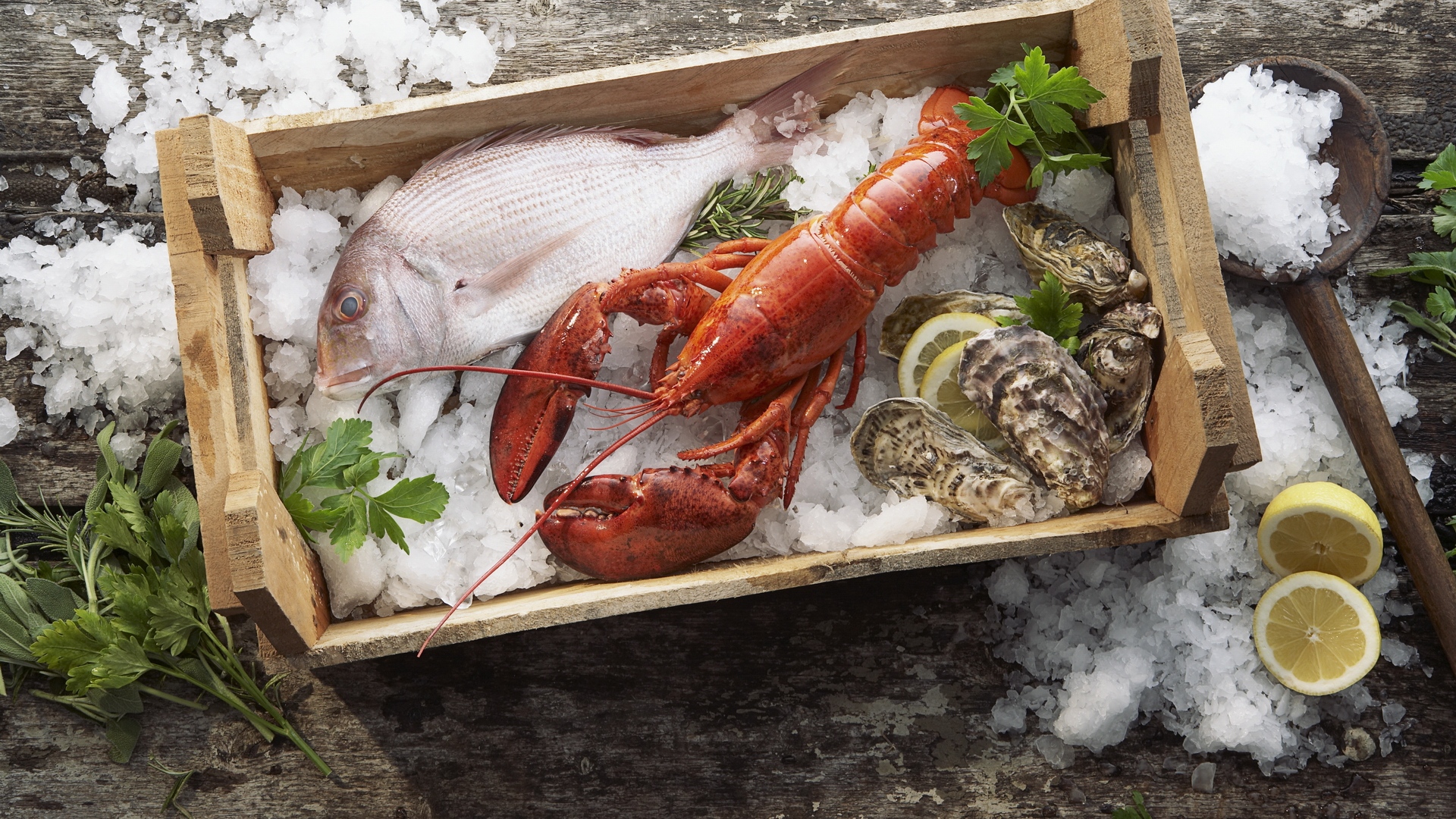 Компания SPSeafood надежный импортер рыбы и морепродуктов с 2008